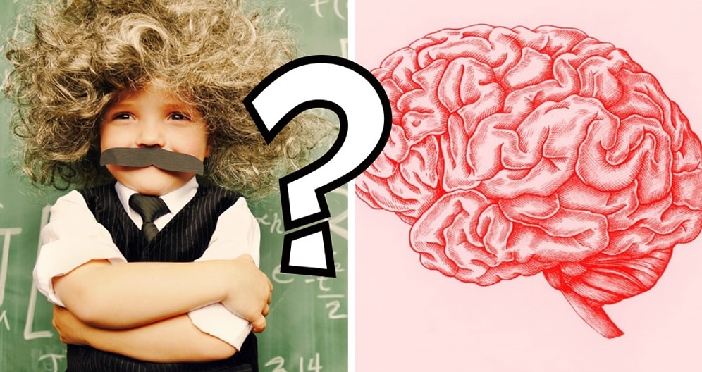 Тест на общие знания, к концу которого выяснится, действительно ли вы эрудит или только хвастаетесь