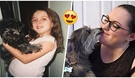 Barınaktan Sahiplendiği Yaşlı Köpeğin Küçükken Baktığı Köpek Olduğunu Öğrenen Kadın 😍