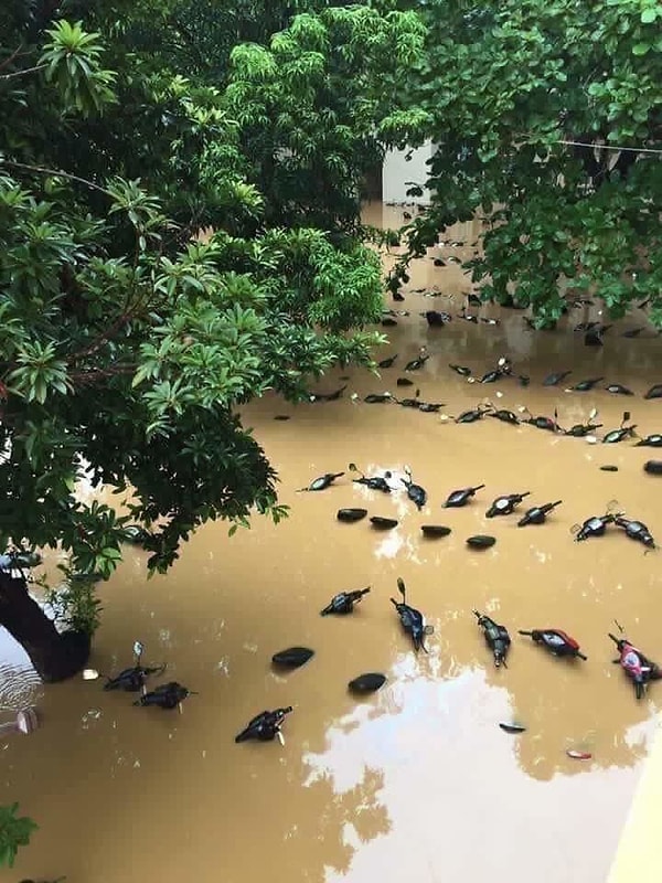 15. Tıpkı bunların da ördek olmaması gibi...