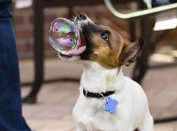 8. Ура! Получилось!