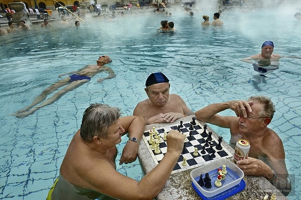 1. Победитель конкурса.