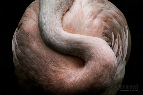 19. Высокая оценка в категории "Путешествия".