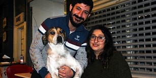 Sokak Köpeklerini Ninni Söyleyerek Uyutan Kokoreççi