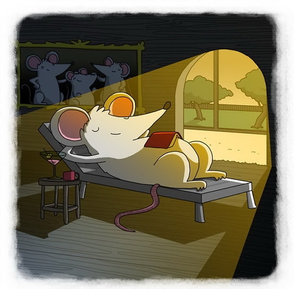 21. Даже в мышиную нору заглядывает солнечный луч / Корейская пословица