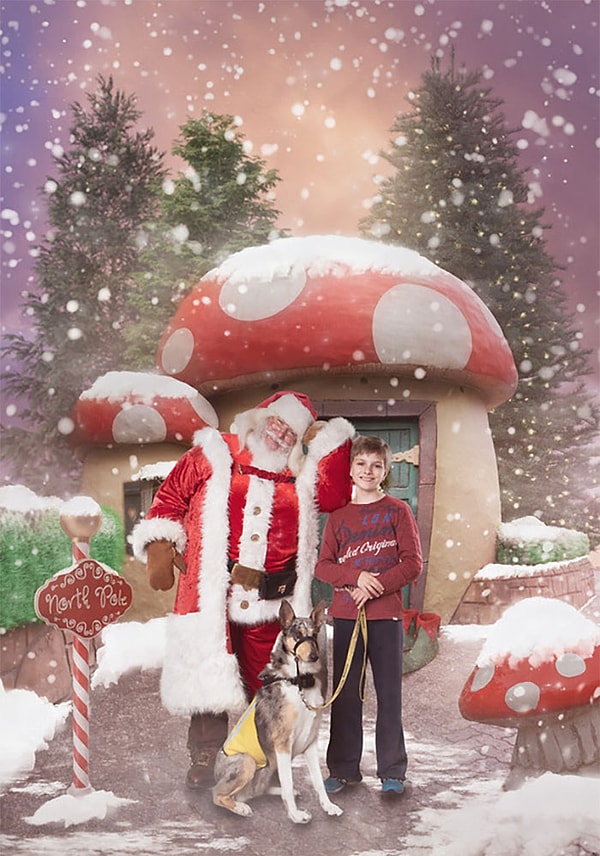 8. В этом году проект посетил 10 больниц и хосписов в Мельбурне, Сиднее, Аделаиде, Перте, Крайстчерче, Окленде, Бристоле и Северном Девоне