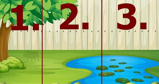 Тест: Проверьте свое зрение, найдя на картинках спрятанное животное