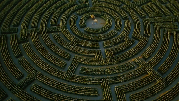 4. Чем торгует магазин под названием "Лабиринт"?