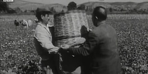 1960'lı Yıllarda Ege'de Kasaba Hayatı