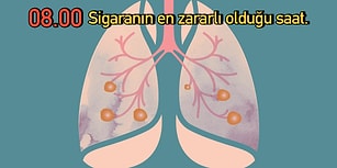 Aralıksız Çalışan Mucizevi Makine Vücudumuzda 24 Saat Boyunca Neler Gerçekleştiğini Biliyor musunuz?