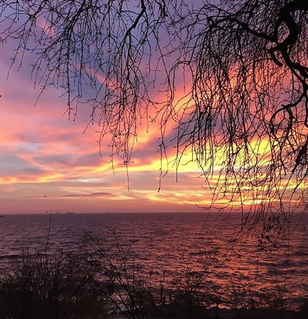 17. Вид на море