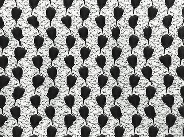 1. Начинаем! Что вы увидели на этой картинке?