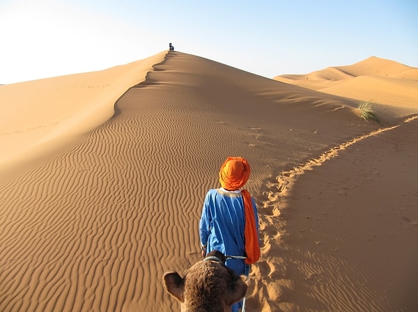 1. Что означает фразеологизм "глас вопиющего в пустыне"?