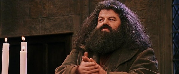 Посмотреть ответ: