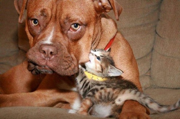 Вы очень-очень терпеливый человек