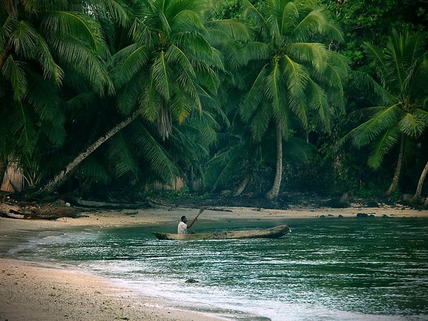 3. Ваши самые смелые предположения насчет Мадагаскара?
