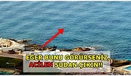 Belki Bugün Değil Ama Bir Gün Hayatınızı Kurtarabilecek 12 Faydalı Bilgi!
