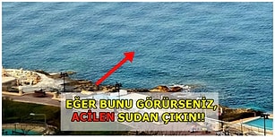 Belki Bugün Değil Ama Bir Gün Hayatınızı Kurtarabilecek 12 Faydalı Bilgi!