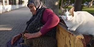 12 Yıldır Topladığı Yardımlarla Sokak Kedilerine Bakan 65 Yaşındaki Fadime Nine: 'Kediler Benim Birinci Dostum'