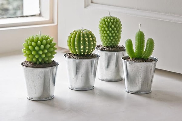 4. Необычные свечи в виде кактусов