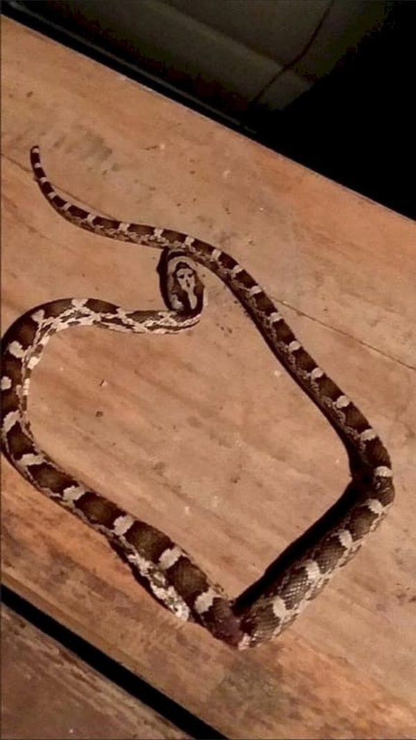 11. Да уж... Вот это природа постаралась, конечно!