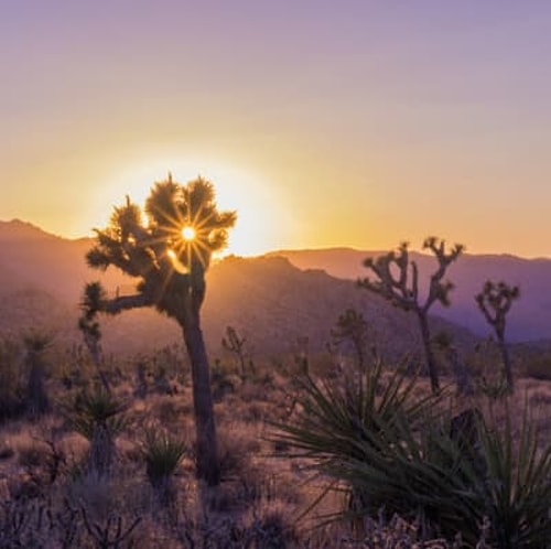 Joshua Tree National Park, USA