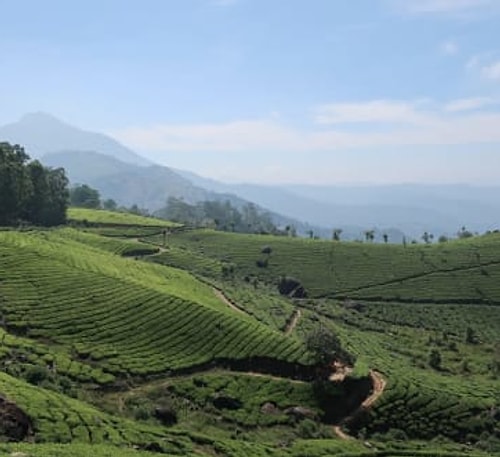 Kerala, Hindistan