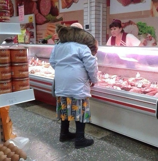 1. Когда на улице жуткая холодина, а шарф найти не получается... выход есть всегда!