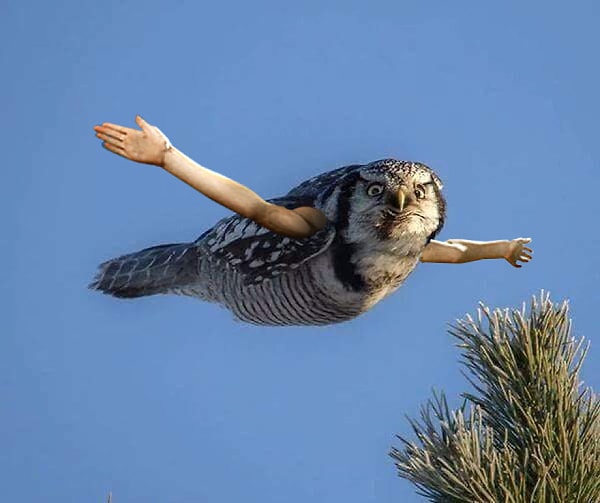 20. Вам не кажется, что тут что-то не так?