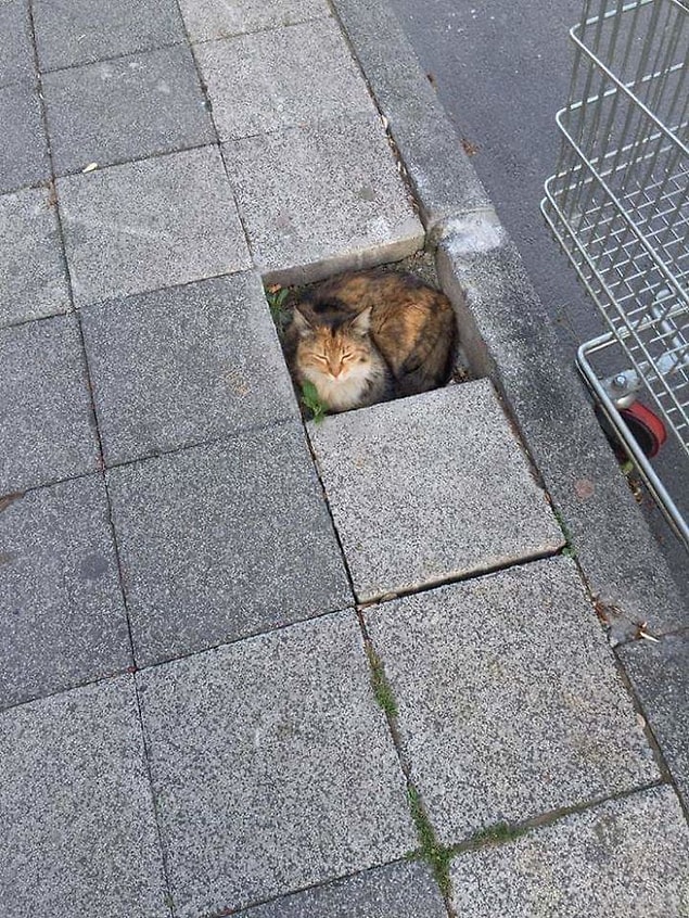 16.