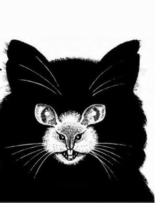 1. Что на этой хитрой картинке вы увидели первым делом?