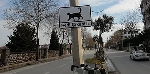 Yalova Belediyesi'nden Alkışlanacak Hareket: Sürücüler İçin 'Kedi Çıkabilir' Uyarısı