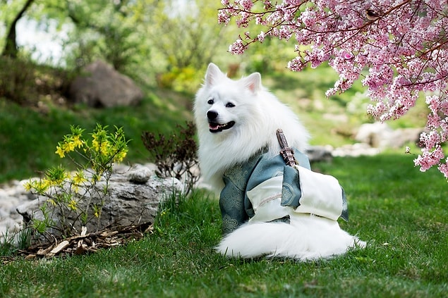 13. Spend less time with people and more time with dogs.