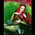 poison-ivy
