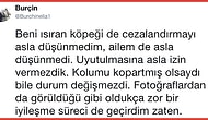 Pitbull Tarafından Isırıldıktan Sonra Örnek Bir Davranış Sergileyen Hayvanseverin Bu Paylaşımını Mutlaka Okumalısınız!
