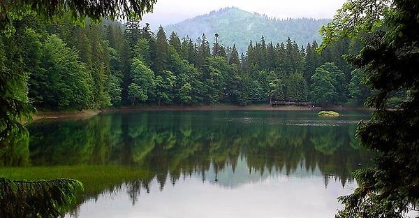 6. С чем ассоциациируется у вас эта картинка?