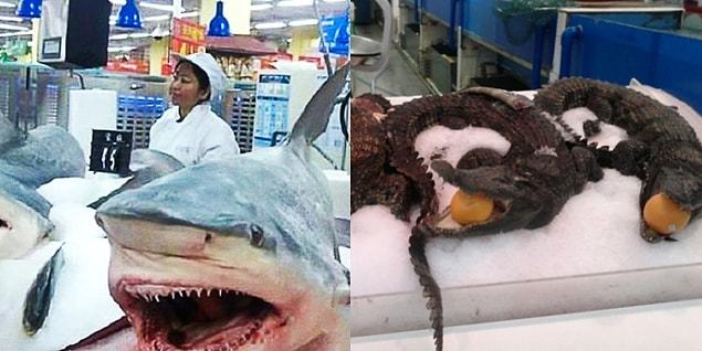 13. China is the only place you can see whole sharks and crocodiles for sale.