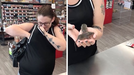 Evcil Yavru Farelerini Sütyeninde Taşıyan Değişik Kadın