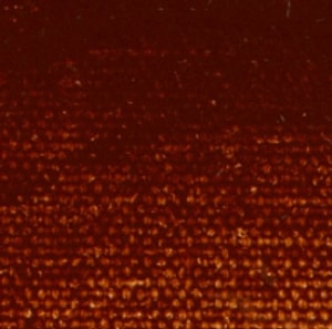 human papilloma virus Profil Resmi