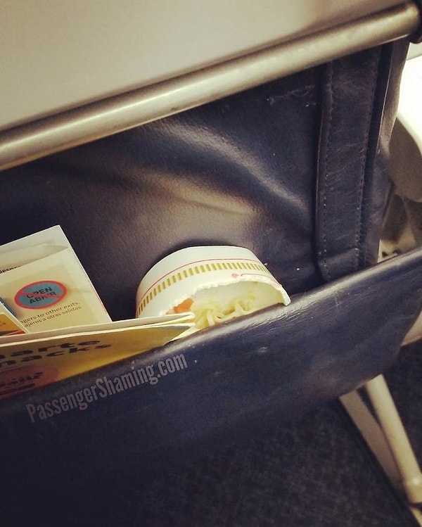 17. Кажется, некоторые люди просто не понимают, что эти кармашки не мусорки