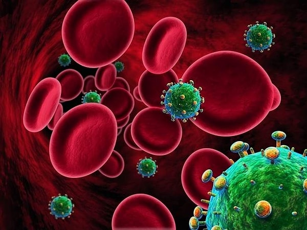 2. Какие из перечисленных микроорганизмов безвредны для человека?