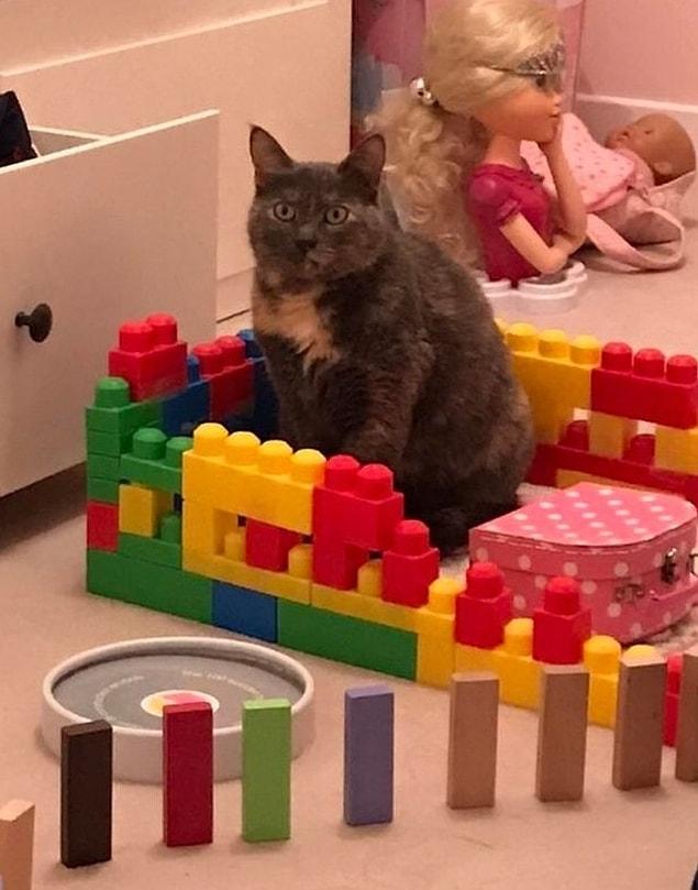 7. New princess on her castle