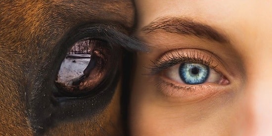 Birbirinden Etkileyici Gözlere Sahip Bu İnsanların Bakışlarında Kaybolmak İsteyeceksiniz!