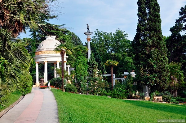 62. Сочинский дендрарий