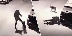 Karlı Havada Köpeğe Attığı Tekme Sonrası Anında İşleyen Karma İle Sümük Gibi Yere Yapışan Adam