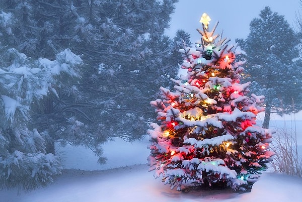 3. 2025-ый будет годом...