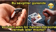 Bu Sevgililer Gününde Hamam Böceğine Eski Sevgilinizin İsmini Verebilirsiniz!
