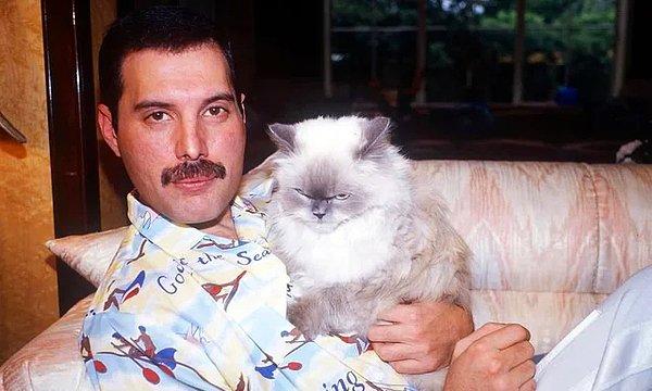 6. Freddie Mercury ve kedisi Tiffany, 1988.