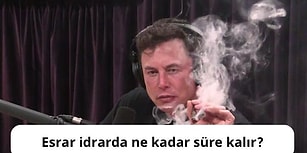 Geçtiğimiz Yıl Evimizin Doktoru Google'a En Çok Sorulan Soruları Merak Ediyor musunuz?