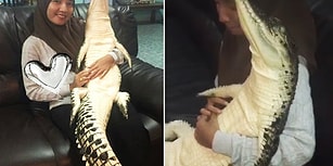 Yolda Bulduğu Timsahı Eve Getiren Yürek Yemiş Kadın