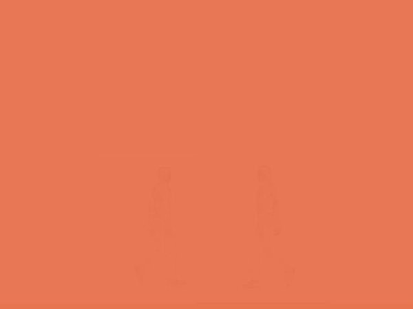 6. Сможете ли вы найти спрятанное изображение?